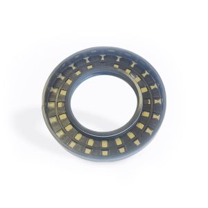 Double lip Seal for 12" Tuffride Electric Brake Drum